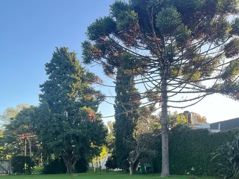 Terreno - Manuel B Gonnet