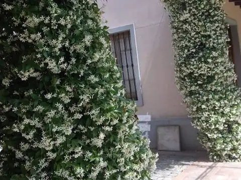 Casa en Alquiler en Lujan, USD 2.500