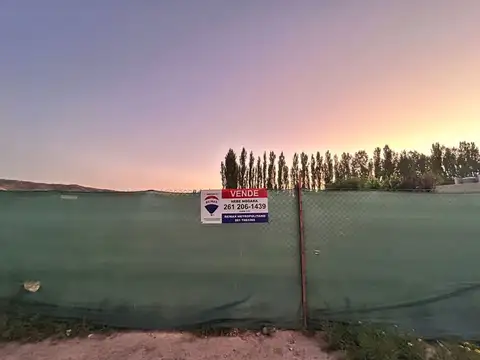 Terreno en Venta en Luján de Cuyo, Mendoza