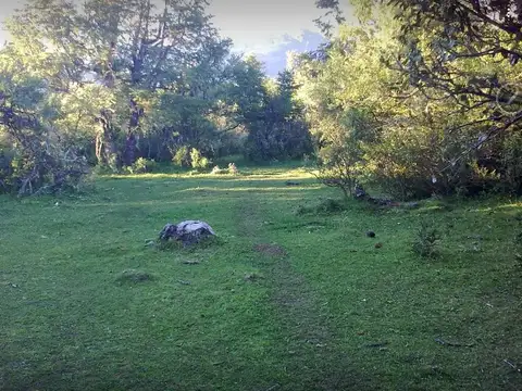 Terreno venta Patagonia  Chubut 2,8 Ha. pesca con mosca frente sobre ruta bosque nativo