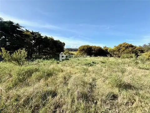 TERRENOS/FRACCIONES/LOTEOS - TERRENOS/FRACCIONES/LOTEOS - MANANTIALES