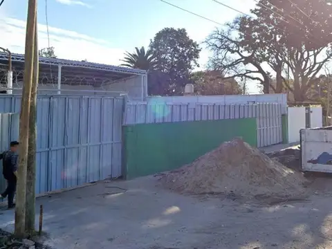 LOTE CON TINGLADO - MERLO