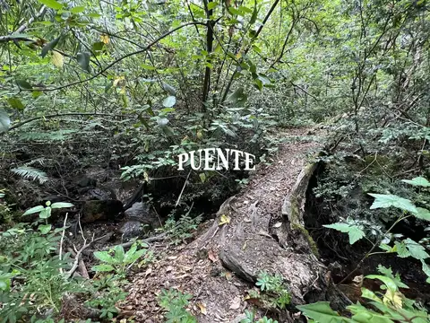 Terreno en Villa La Angostura