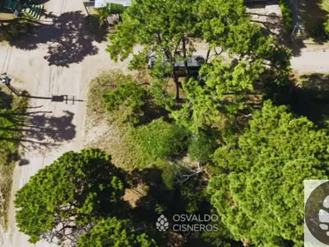 calle 41 y mar del plata 100