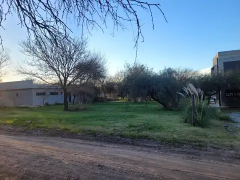 Terreno en Venta 20  mts Frente