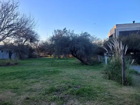 Terreno en Venta de 800,0 m2