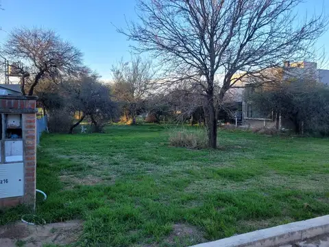 Terreno en Venta 40  mts Fondo