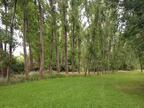 Terreno en Venta 39  mts Frente