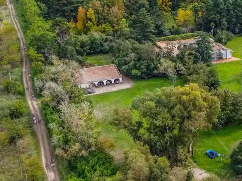 VENTA ESTANCIA LA FRANCESA BRANDSEN/CAMPO MIXTO