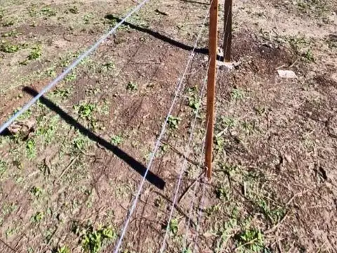 Terreno en Venta de 1200,0 m2