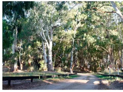 NORTHBEACH LOTES Venta Pinamar