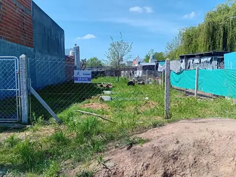496 E/ 2 Y 3