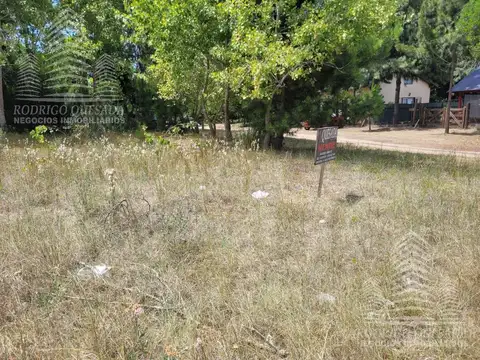 Newton, Esquina Dolores