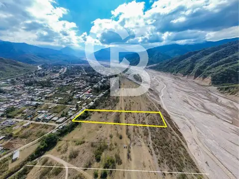 Venta | hectarea en lozano