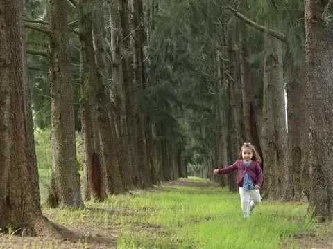 La Estela