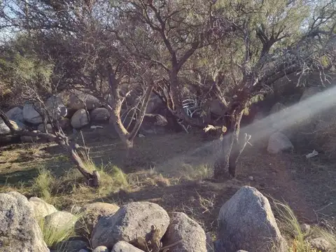 Autopista 25 de Mayo km 18.8 100