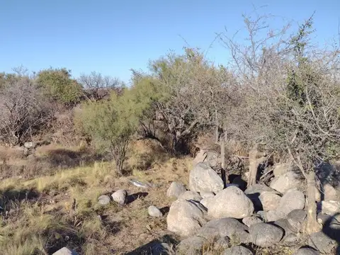 Terreno en Venta de 1584,0 m2