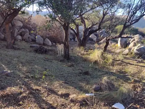 VENTA DE TERRENO BARRIO CERRADO EL PILAR