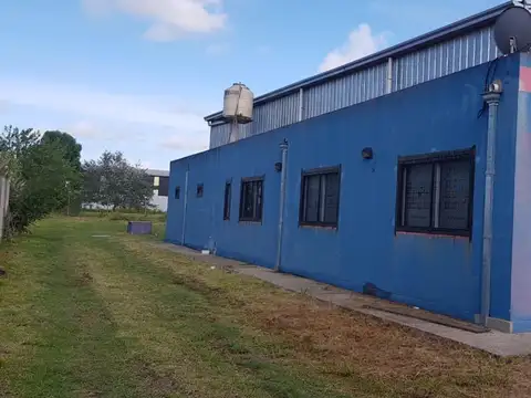 Ombu 1200