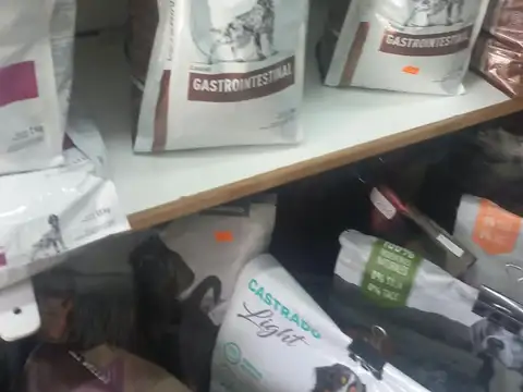 Fondo Comercio en Venta 16 años