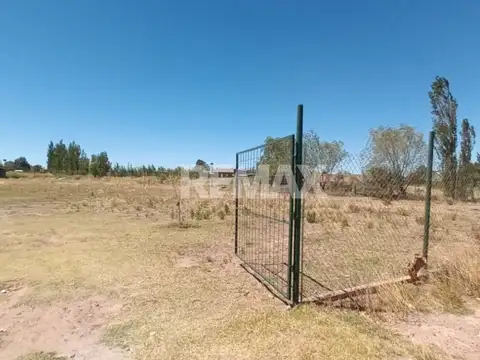 Terreno en Alquiler en Centenario, $ 2.500.000