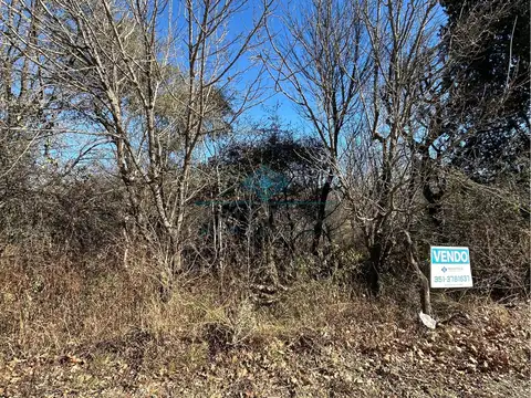 VENTA-2 LOTES DISPONIBLES SOBRE RUTA E53-LA GRANJA