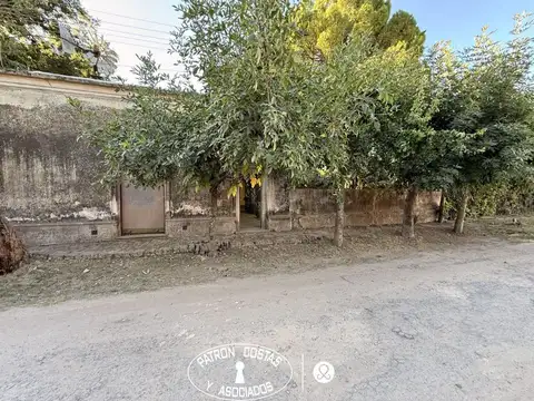 J C Silva 100