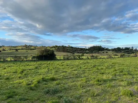 Terreno en Venta de 2005,0 m2