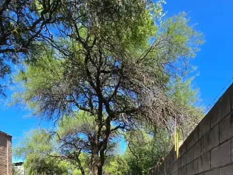 Terreno En Venta Villa Rivera Indarte. Laborde 8400