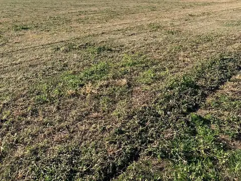 Terreno en Venta de 802,0 m2
