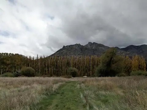 Ruta 40
