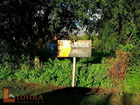 Lote para animarse al gran cambio  550 mt2 servicios