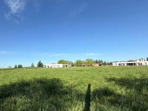 Terreno en Venta 39  mts Fondo