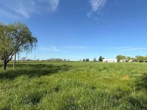 Oportunidad! Terreno / Lote en venta en Campos de Roca II, Coronel Brandsen