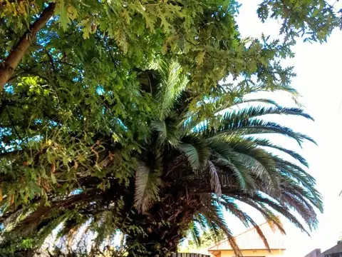 Casa en Alquiler Temporal de 1 dormitorio