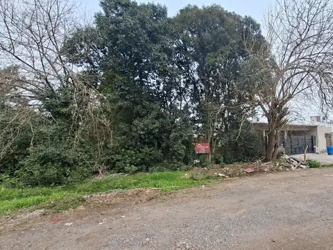 140 e/ 489 y cortada