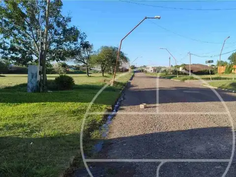 Las Palomas 200