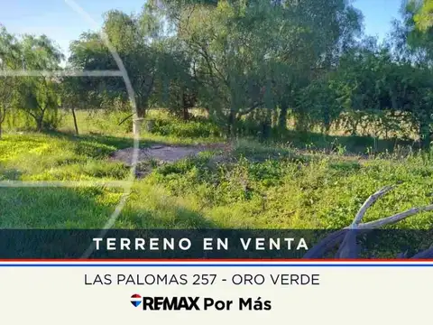 Lote 250m² en Oro Verde