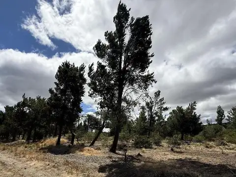 Terreno con acceso al lago en venta, financiados Dina Huapi