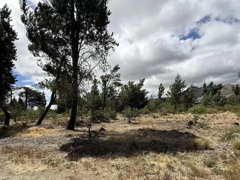 Los Calafates  753 L22