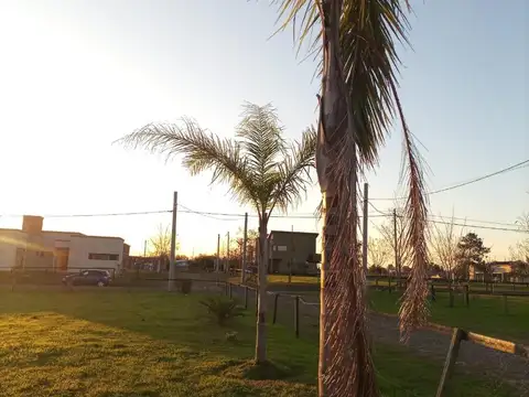 Terreno en Venta 50  mts Fondo