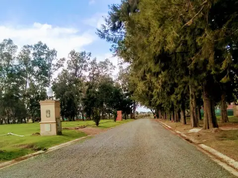 LAGOS DE SAN ELISEO - OPORTUNIDAD LOTE EN VENTA AREA PREMIUM