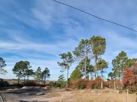 la cumbrecida