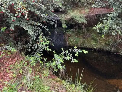 Terreno en Venta 48  mts Frente