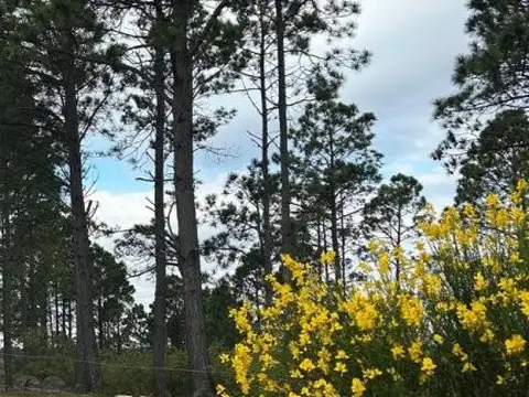 Terreno en Venta 309  mts Fondo