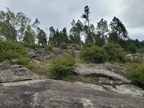 Terreno en Venta en Santa Rosa de Calamuchita, USD 64.500