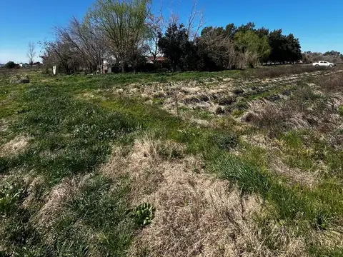 Campo en Arroyo de la Cruz
