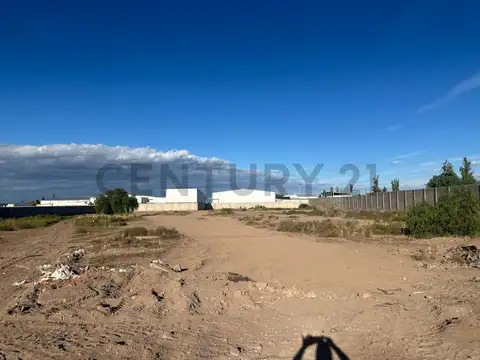 Jerónimo Ruiz , Piso 0