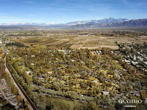 Terreno en Venta en Lujan de Cuyo, USD 80.865