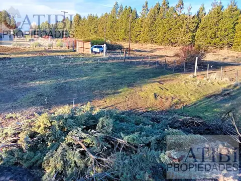 Camino Viejo 365 - Ñirihuau - Dina Huapi